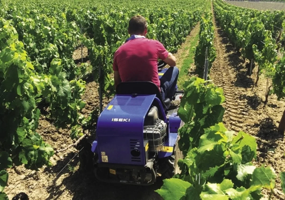 Débroussailleuse autoportée ISEKI SRA600 - photo 4