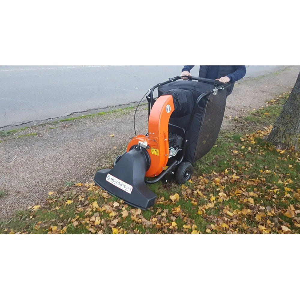 Aspirateur de feuilles autotracté moteur thermique briggs et stratton 6,5 cv morgnieux - photo 4