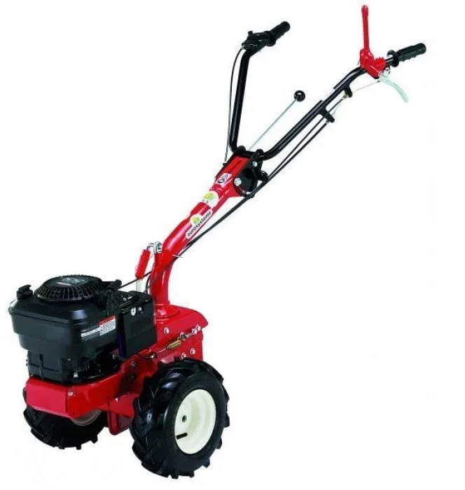 Cellule motrice p55 eurosystems multifonctions briggs et stratton 5.5cv 163cc avec démarrage électrique - photo 2