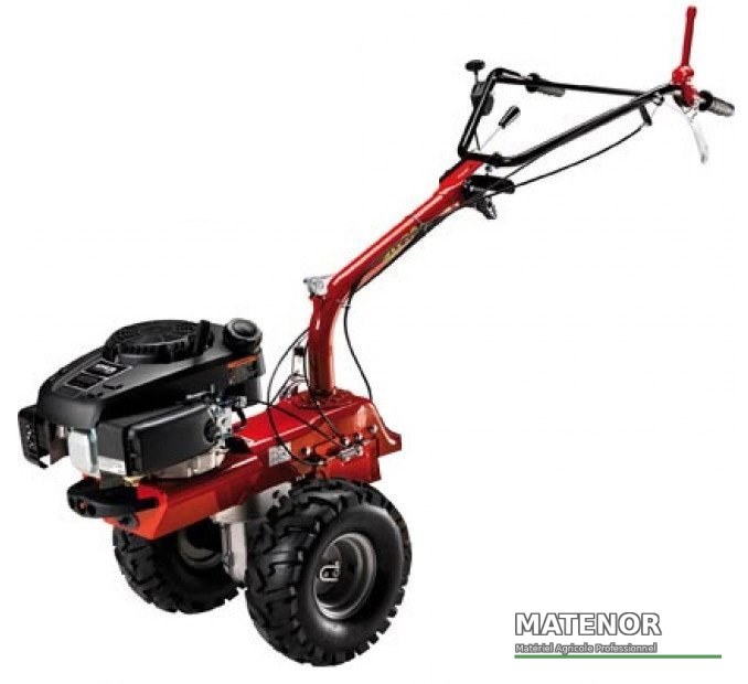P70 eurosystems briggs et stratton avec démarrage électrique, porte outils multifonctions