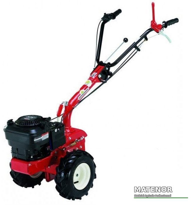 Cellule motrice p55 eurosystems multifonctions briggs et stratton 5.5cv 163cc avec démarrage électrique