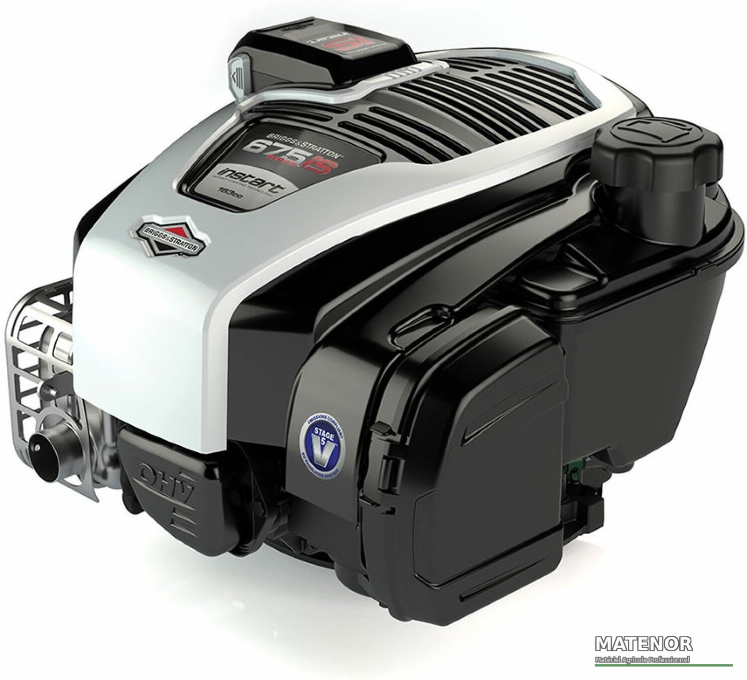 Cellule motrice p55 eurosystems multifonctions briggs et stratton 5.5cv 163cc avec démarrage électrique - photo 2